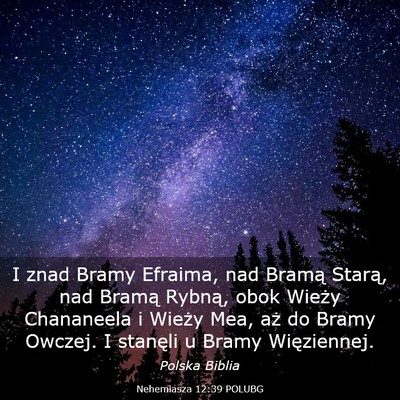 Picture 03 - Nehemiasza 12:39 POLUBG - I znad Bramy Efraima, nad Bramą Starą, nad - Bible Verse Picture