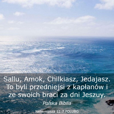 Picture 03 - Nehemiasza 12:7 POLUBG - Sallu, Amok, Chilkiasz, Jedajasz. To byli - Bible Verse Picture
