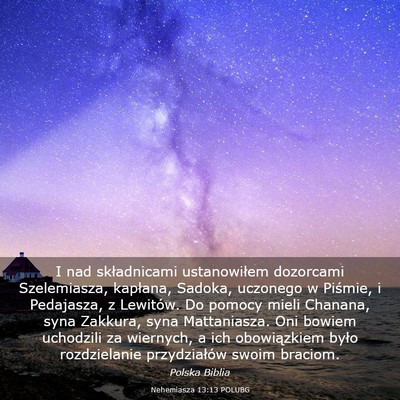 Picture 03 - Nehemiasza 13:13 POLUBG - I nad składnicami ustanowiłem dozorcami - Bible Verse Picture