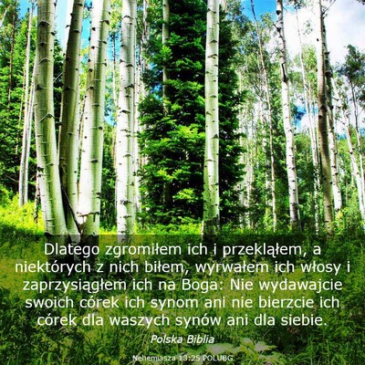 Picture 03 - Nehemiasza 13:25 POLUBG - Dlatego zgromiłem ich i przekląłem, a - Bible Verse Picture