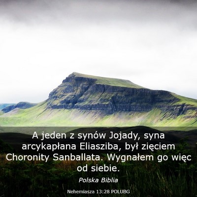 Picture 03 - Nehemiasza 13:28 POLUBG - A jeden z synów Jojady, syna arcykapłana - Bible Verse Picture