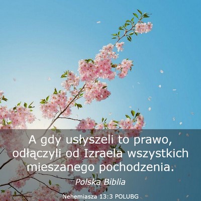 Picture 03 - Nehemiasza 13:3 POLUBG - A gdy usłyszeli to prawo, odłączyli od Izraela - Bible Verse Picture
