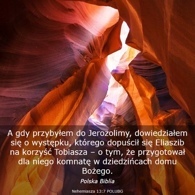 Picture 03 - Nehemiasza 13:7 POLUBG - A gdy przybyłem do Jerozolimy, dowiedziałem - Bible Verse Picture