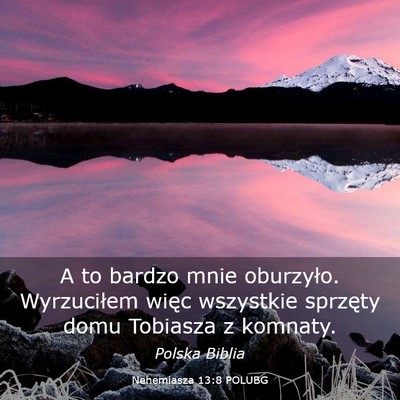 Picture 03 - Nehemiasza 13:8 POLUBG - A to bardzo mnie oburzyło. Wyrzuciłem więc - Bible Verse Picture