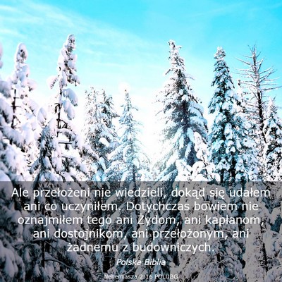 Picture 03 - Nehemiasza 2:16 POLUBG - Ale przełożeni nie wiedzieli, dokąd się - Bible Verse Picture