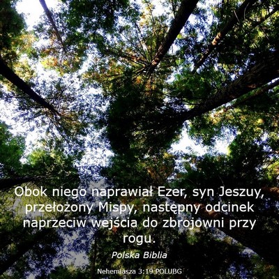 Picture 03 - Nehemiasza 3:19 POLUBG - Obok niego naprawiał Ezer, syn Jeszuy, - Bible Verse Picture