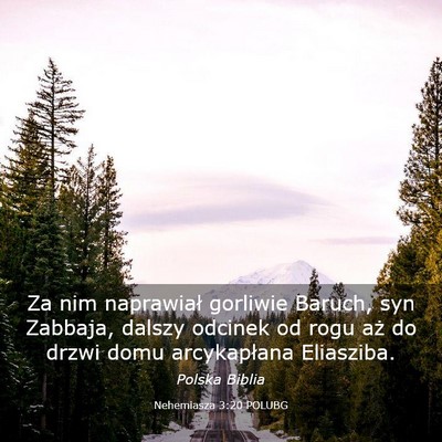 Picture 03 - Nehemiasza 3:20 POLUBG - Za nim naprawiał gorliwie Baruch, syn Zabbaja, - Bible Verse Picture