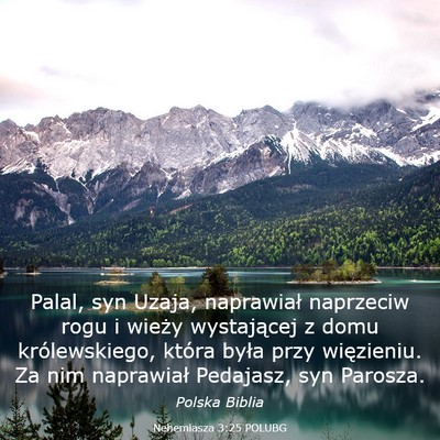 Picture 03 - Nehemiasza 3:25 POLUBG - Palal, syn Uzaja, naprawiał naprzeciw rogu i - Bible Verse Picture