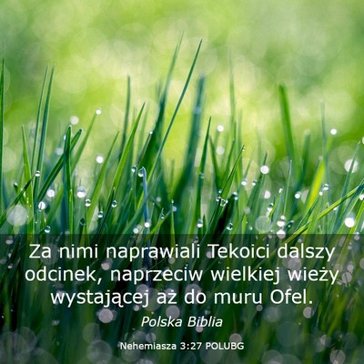 Picture 03 - Nehemiasza 3:27 POLUBG - Za nimi naprawiali Tekoici dalszy odcinek, - Bible Verse Picture