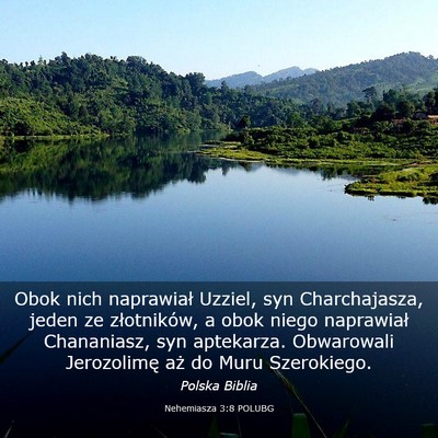 Picture 03 - Nehemiasza 3:8 POLUBG - Obok nich naprawiał Uzziel, syn Charchajasza, - Bible Verse Picture