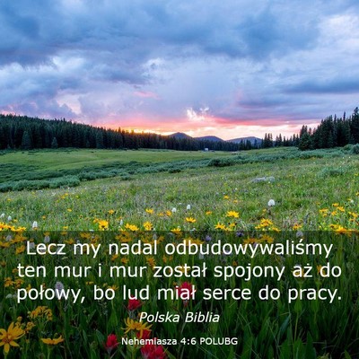 Picture 03 - Nehemiasza 4:6 POLUBG - Lecz my nadal odbudowywaliśmy ten mur i mur - Bible Verse Picture