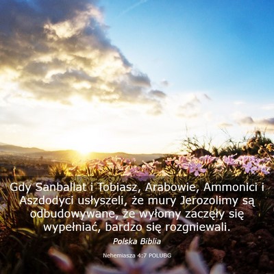 Picture 03 - Nehemiasza 4:7 POLUBG - Gdy Sanballat i Tobiasz, Arabowie, Ammonici i - Bible Verse Picture