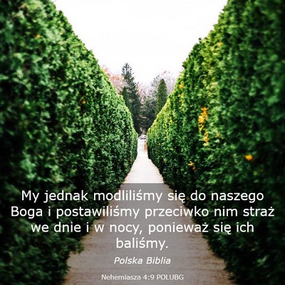Picture 03 - Nehemiasza 4:9 POLUBG - My jednak modliliśmy się do naszego Boga i - Bible Verse Picture