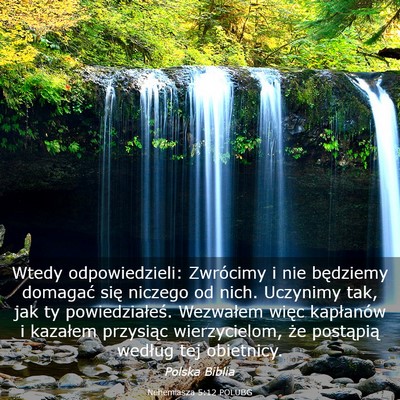 Picture 03 - Nehemiasza 5:12 POLUBG - Wtedy odpowiedzieli: Zwrócimy i nie będziemy - Bible Verse Picture