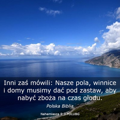 Picture 03 - Nehemiasza 5:3 POLUBG - Inni zaś mówili: Nasze pola, winnice i domy - Bible Verse Picture