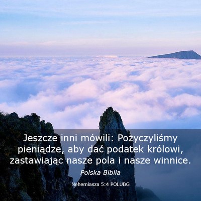 Picture 03 - Nehemiasza 5:4 POLUBG - Jeszcze inni mówili: Pożyczyliśmy pieniądze, - Bible Verse Picture