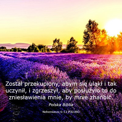 Picture 03 - Nehemiasza 6:13 POLUBG - Został przekupiony, abym się uląkł i tak - Bible Verse Picture