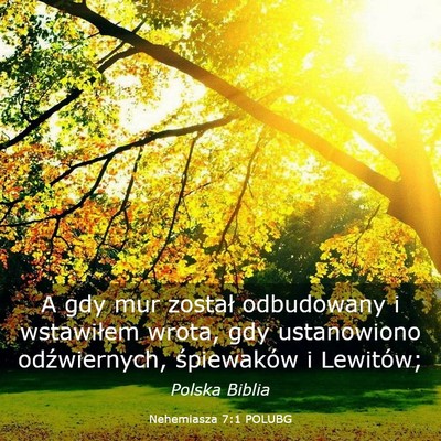 Picture 03 - Nehemiasza 7:1 POLUBG - A gdy mur został odbudowany i wstawiłem wrota, - Bible Verse Picture