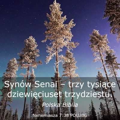 Picture 03 - Nehemiasza 7:38 POLUBG - Synów Senai – trzy tysiące dziewięciuset - Bible Verse Picture