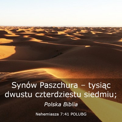 Picture 03 - Nehemiasza 7:41 POLUBG - Synów Paszchura – tysiąc dwustu czterdziestu - Bible Verse Picture
