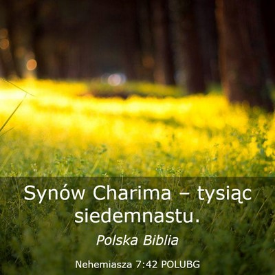Picture 03 - Nehemiasza 7:42 POLUBG - Synów Charima – tysiąc - Bible Verse Picture