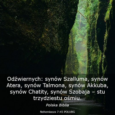Picture 03 - Nehemiasza 7:45 POLUBG - Odźwiernych: synów Szalluma, synów Atera, - Bible Verse Picture