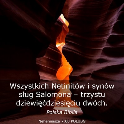 Picture 03 - Nehemiasza 7:60 POLUBG - Wszystkich Netinitów i synów sług Salomona – - Bible Verse Picture