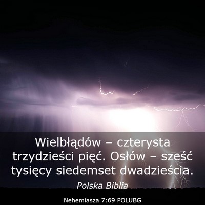 Picture 03 - Nehemiasza 7:69 POLUBG - Wielbłądów – czterysta trzydzieści pięć. - Bible Verse Picture
