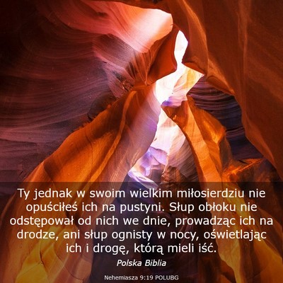 Picture 03 - Nehemiasza 9:19 POLUBG - Ty jednak w swoim wielkim miłosierdziu nie - Bible Verse Picture