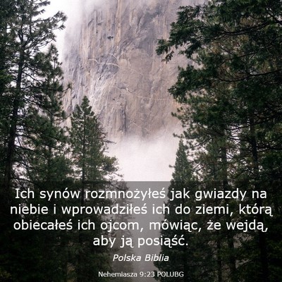 Picture 03 - Nehemiasza 9:23 POLUBG - Ich synów rozmnożyłeś jak gwiazdy na niebie i - Bible Verse Picture