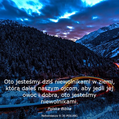 Picture 03 - Nehemiasza 9:36 POLUBG - Oto jesteśmy dziś niewolnikami w ziemi, którą - Bible Verse Picture