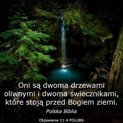 Picture 03 - Objawienie 11:4 POLUBG - Oni są dwoma drzewami oliwnymi i dwoma - Bible Verse Picture