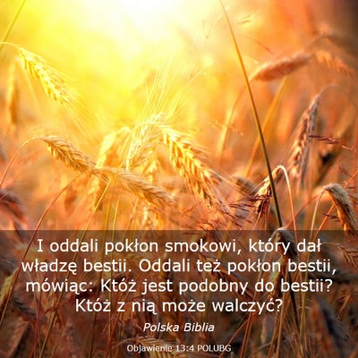 Picture 03 - Objawienie 13:4 POLUBG - I oddali pokłon smokowi, który dał władzę - Bible Verse Picture