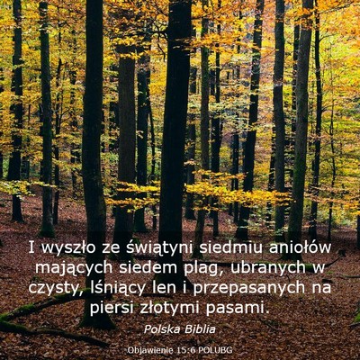 Picture 03 - Objawienie 15:6 POLUBG - I wyszło ze świątyni siedmiu aniołów - Bible Verse Picture