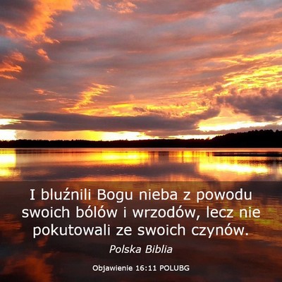 Picture 03 - Objawienie 16:11 POLUBG - I bluźnili Bogu nieba z powodu swoich bólów i - Bible Verse Picture
