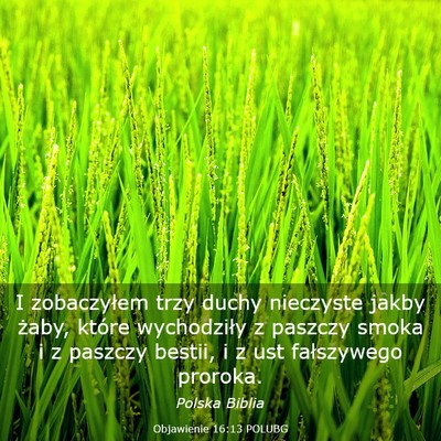Picture 03 - Objawienie 16:13 POLUBG - I zobaczyłem trzy duchy nieczyste jakby żaby, - Bible Verse Picture