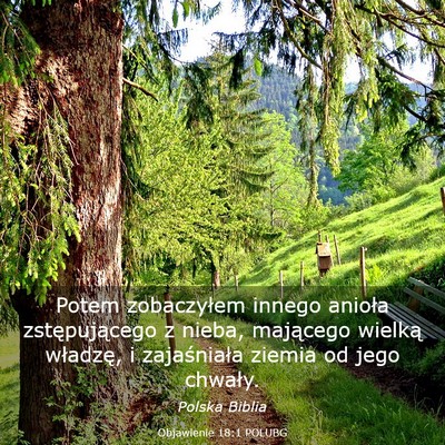 Picture 03 - Objawienie 18:1 POLUBG - Potem zobaczyłem innego anioła zstępującego z - Bible Verse Picture