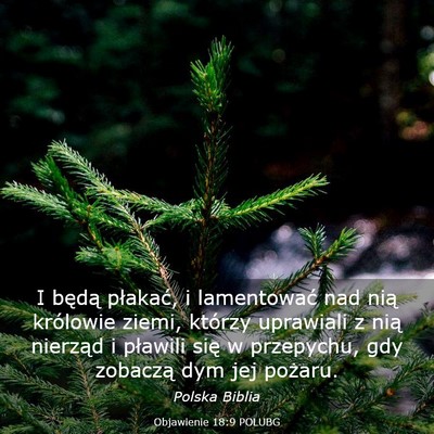 Picture 03 - Objawienie 18:9 POLUBG - I będą płakać, i lamentować nad nią - Bible Verse Picture
