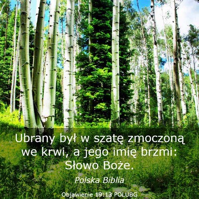 Picture 03 - Objawienie 19:13 POLUBG - Ubrany był w szatę zmoczoną we krwi, a jego - Bible Verse Picture