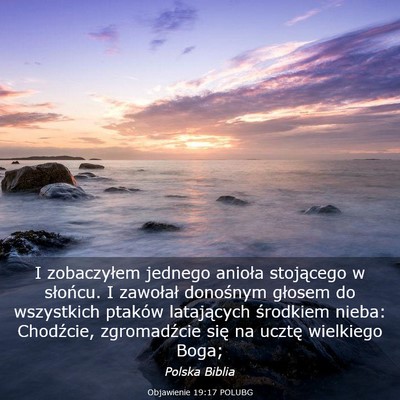 Picture 03 - Objawienie 19:17 POLUBG - I zobaczyłem jednego anioła stojącego w - Bible Verse Picture