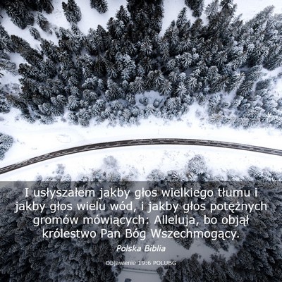 Picture 03 - Objawienie 19:6 POLUBG - I usłyszałem jakby głos wielkiego tłumu i - Bible Verse Picture
