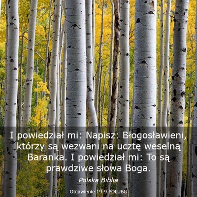 Picture 03 - Objawienie 19:9 POLUBG - I powiedział mi: Napisz: Błogosławieni, - Bible Verse Picture