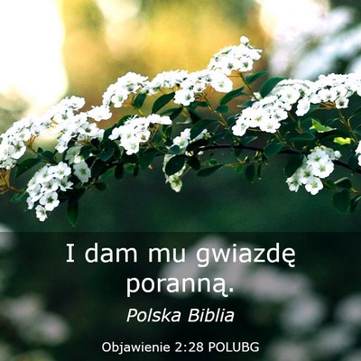 Picture 03 - Objawienie 2:28 POLUBG - I dam mu gwiazdę - Bible Verse Picture