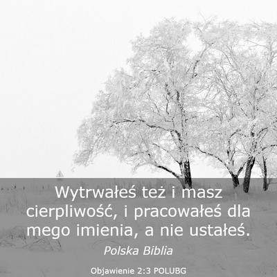 Picture 03 - Objawienie 2:3 POLUBG - Wytrwałeś też i masz cierpliwość, i - Bible Verse Picture