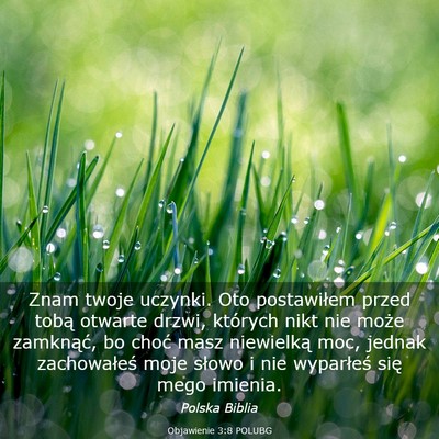 Picture 03 - Objawienie 3:8 POLUBG - Znam twoje uczynki. Oto postawiłem przed tobą - Bible Verse Picture