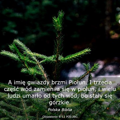 Picture 03 - Objawienie 8:11 POLUBG - A imię gwiazdy brzmi Piołun. I trzecia część - Bible Verse Picture