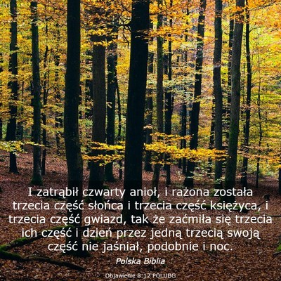Picture 03 - Objawienie 8:12 POLUBG - I zatrąbił czwarty anioł, i rażona została - Bible Verse Picture