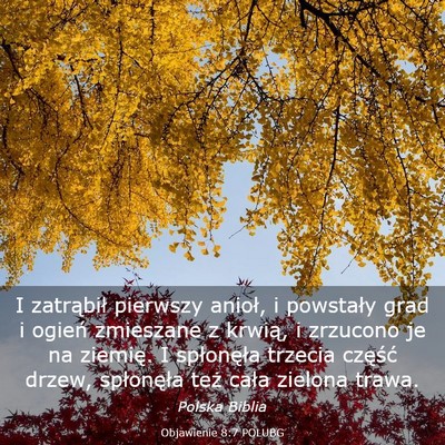 Picture 03 - Objawienie 8:7 POLUBG - I zatrąbił pierwszy anioł, i powstały grad i - Bible Verse Picture