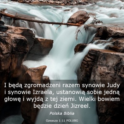 Picture 03 - Ozeasza 1:11 POLUBG - I będą zgromadzeni razem synowie Judy i synowie - Bible Verse Picture