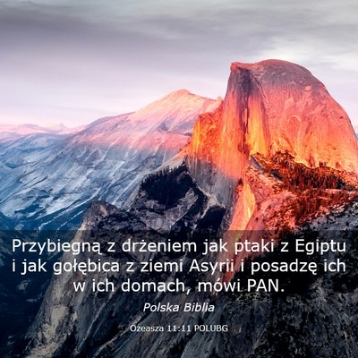 Picture 03 - Ozeasza 11:11 POLUBG - Przybiegną z drżeniem jak ptaki z Egiptu i jak - Bible Verse Picture